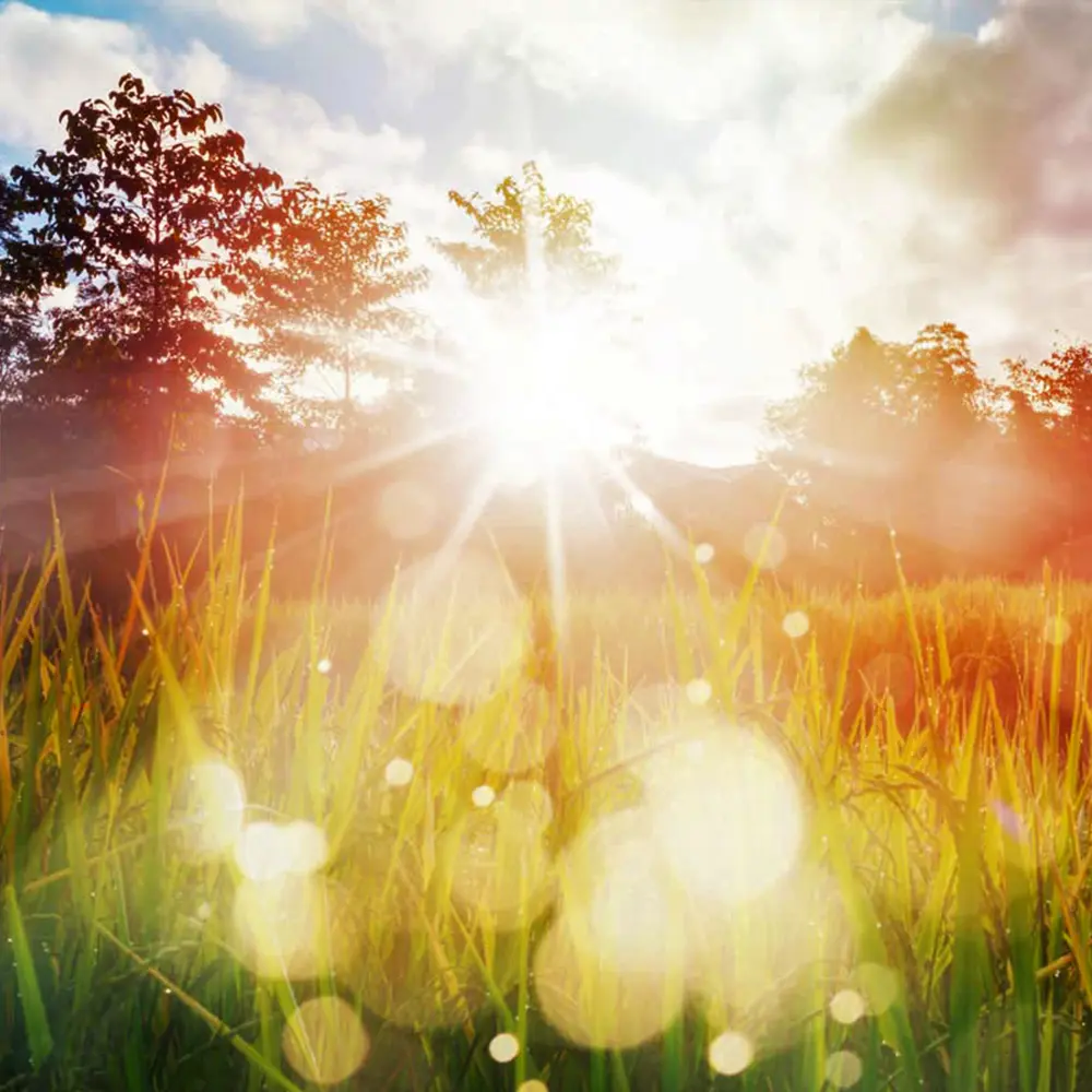 Light on a Field