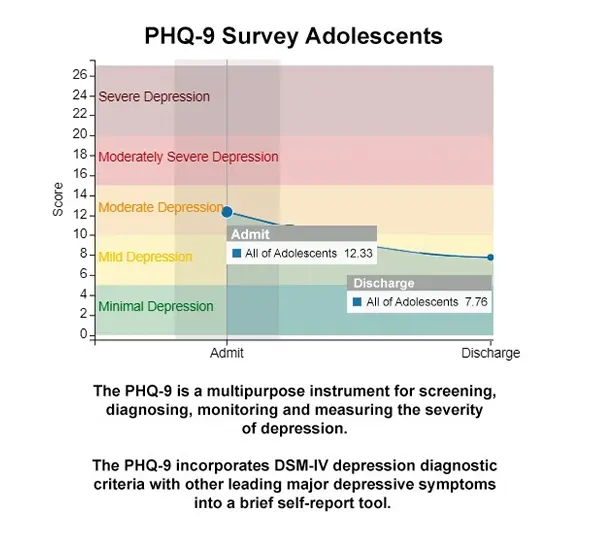 PHQ-9 Survey