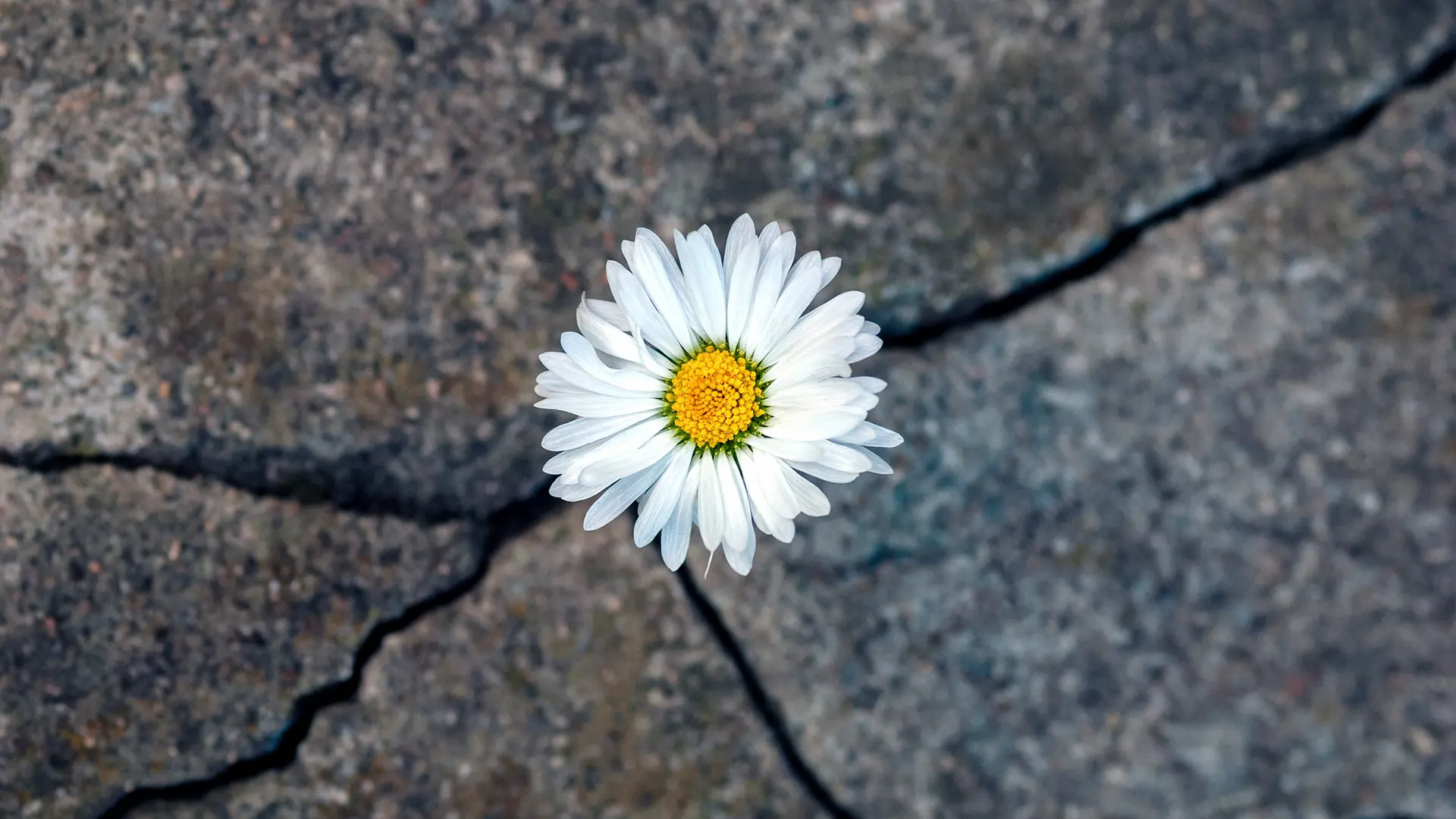 Common Myths That Prevent People From Seeking Eating Disorder Treatment